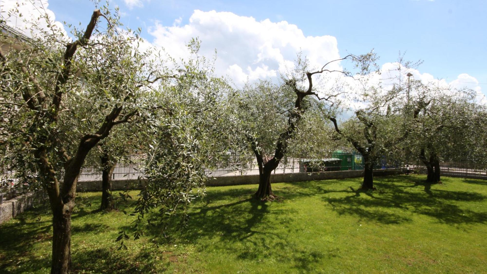 B&B Casa Wanda Since 1999 Riva del Garda Rom bilde